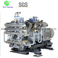 Komprimierte Erdgas CNG Kolbenkompressor